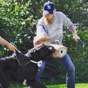 Hundträning