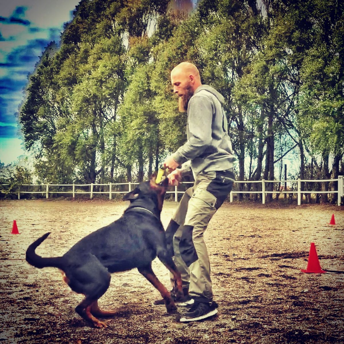 fortsättningskurs hundkurser Skåne