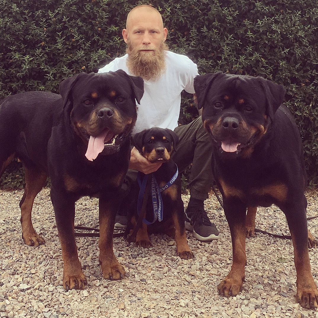 Öppen hundträning hundkurser Skåne